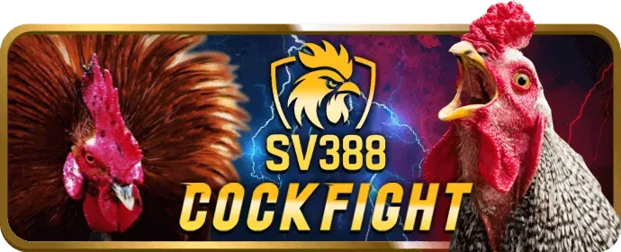 Kiểm soát dữ liệu và quyền riêng tư 23 win